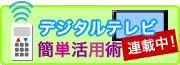 �f�W�^���e���r���p�p