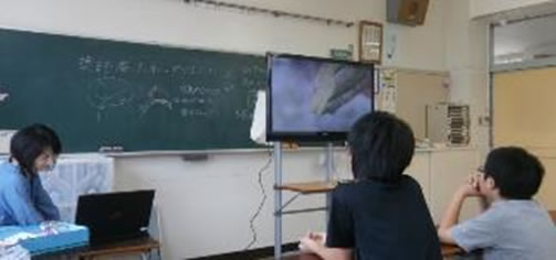 モニターとアップルTVを常設