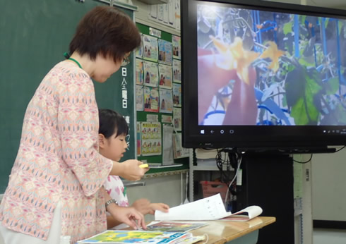写真：２年生活科「Ｍｙやさいをそだてたよ」
