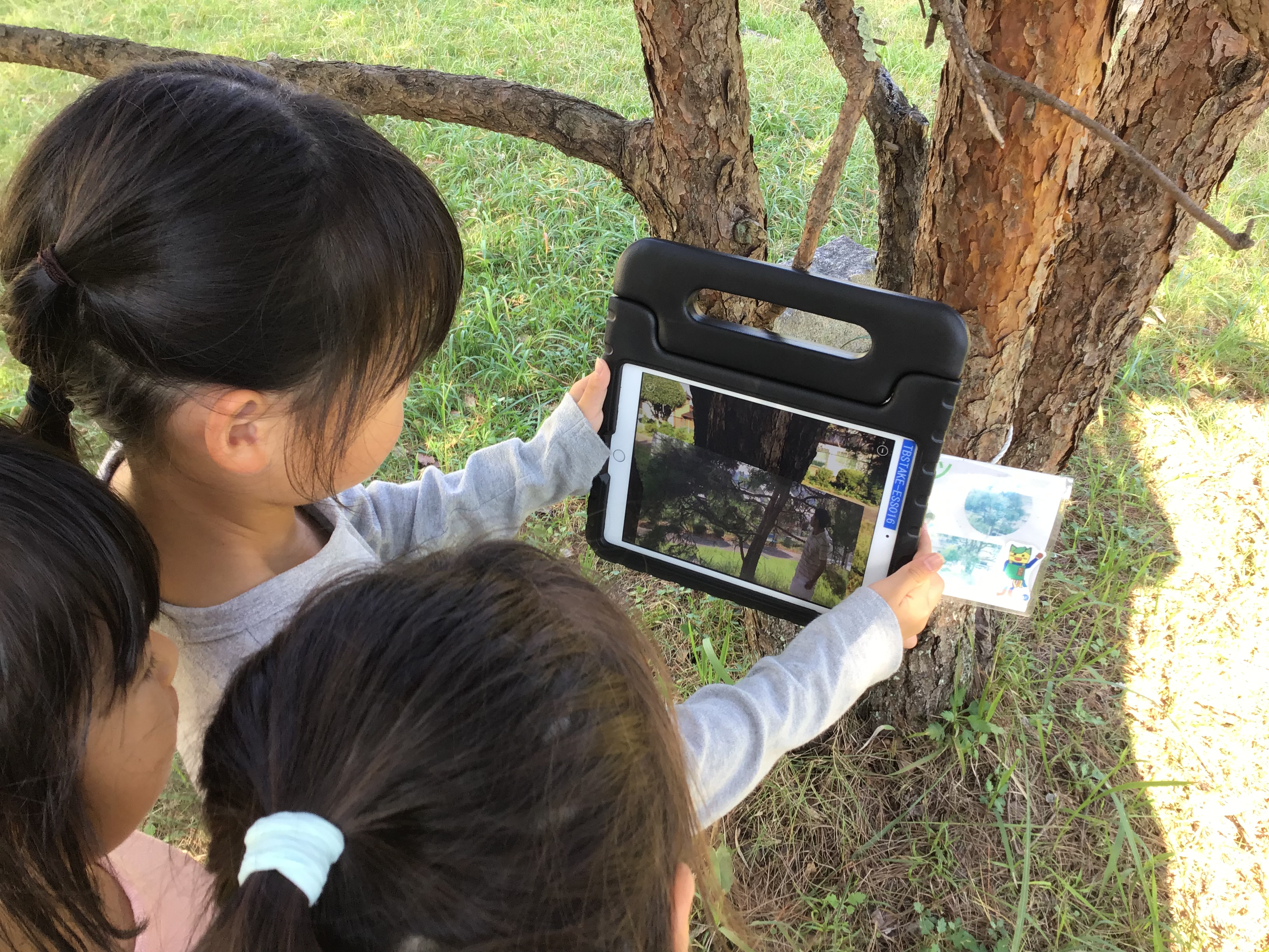 iPadで樹木調べ