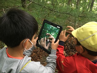 写真：稲田の杜「植物図鑑」をつくろう