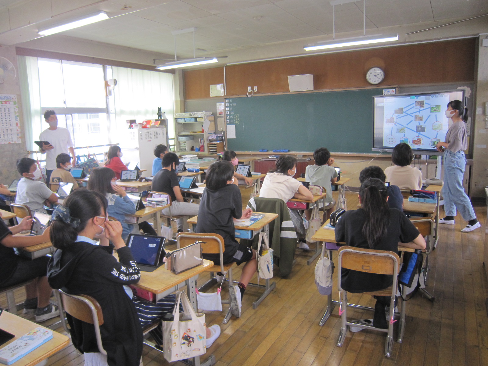 小学6年生理科「食物連鎖の図を完成させよう」