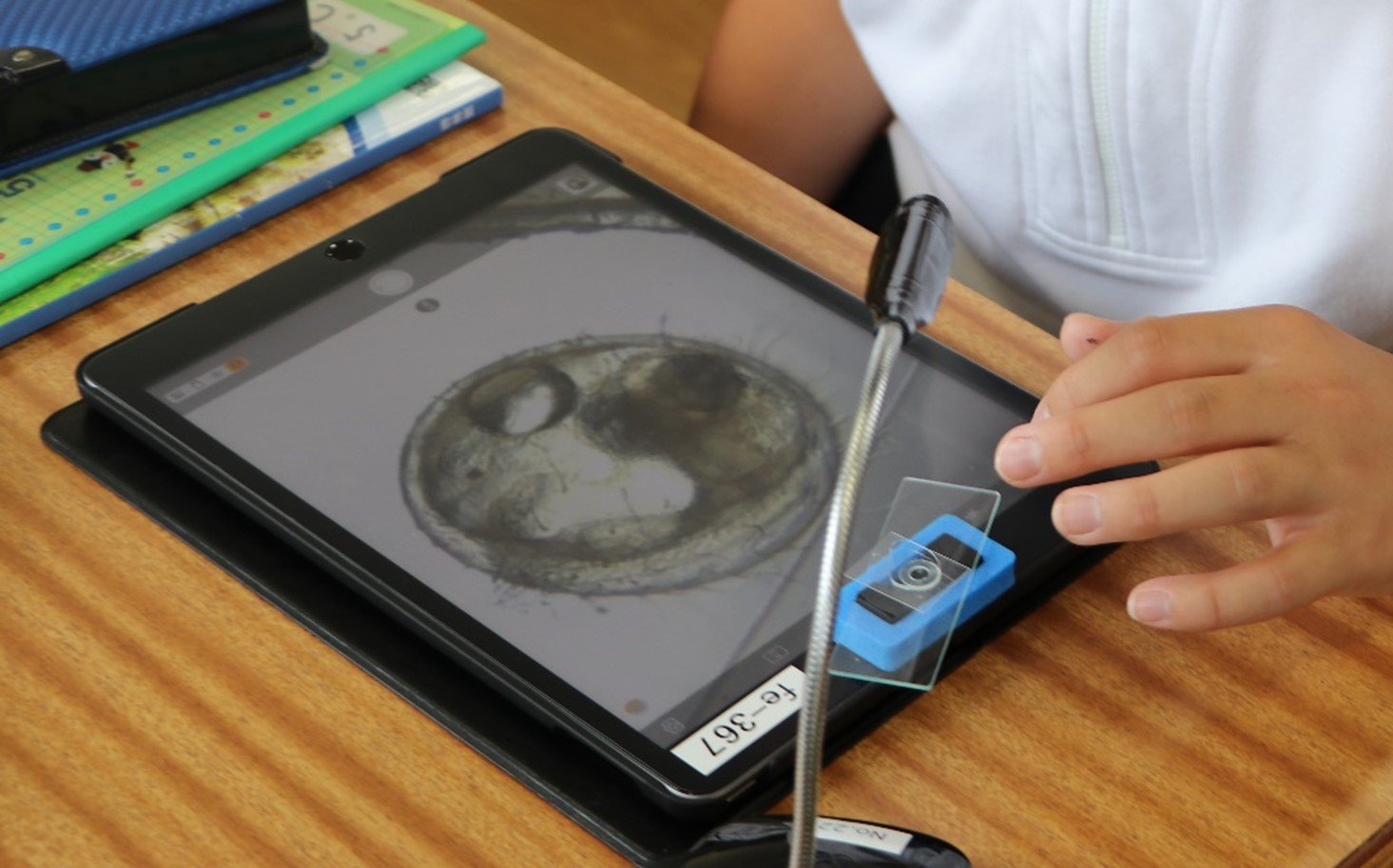 写真：1学期提案授業～第５学年理科「メダカの誕生」～