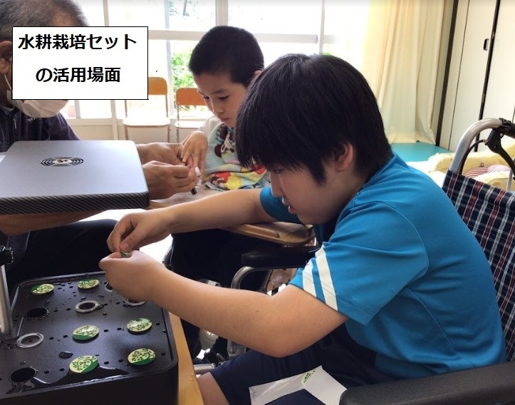 写真：水耕栽培セットの活用場面
