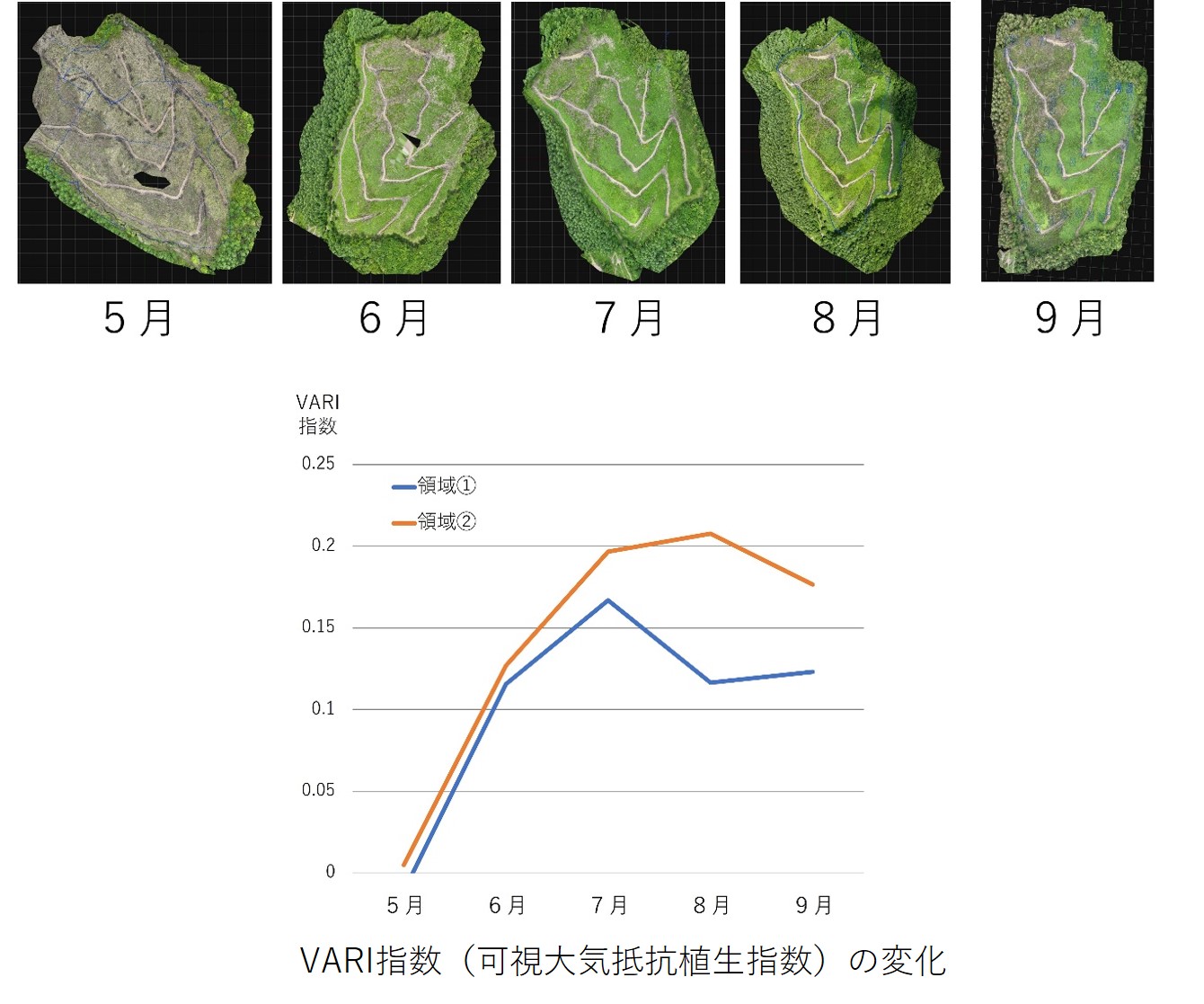 ドローンで撮影した学校林の様子とVARI指数の変化