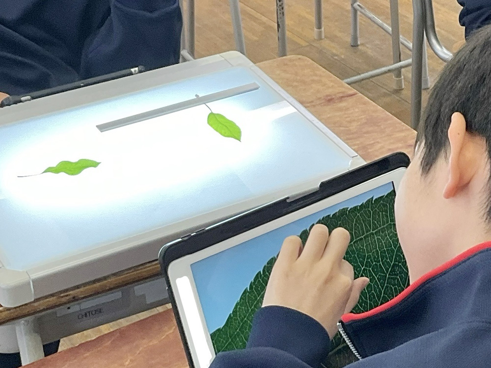 写真：居心地のいい学校をめざして