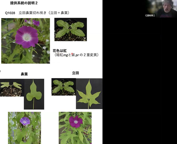 写真:ICTの活用による生物領域での実験授業