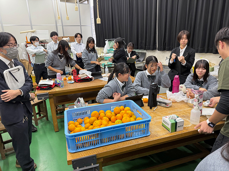 写真：来春から教職に就く大学院生による連携校実習（公開授業）