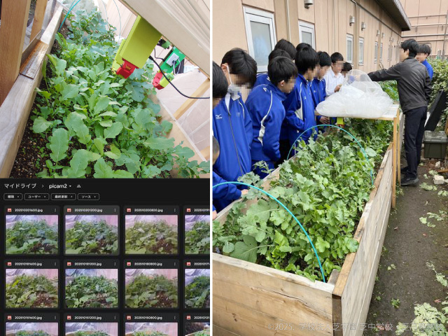 写真：遠隔観察システムで栽培実習を見える化