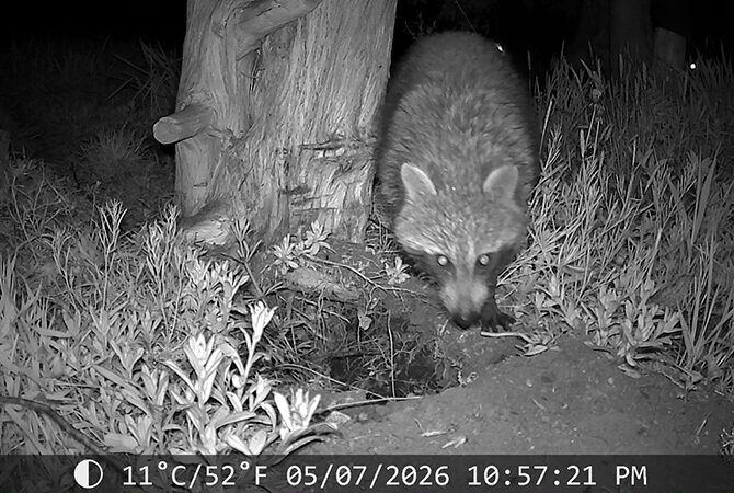 ICT機器を駆使して生産圃場の「野生動物を可視化する」
