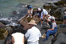 網地島での楽しい魚釣り